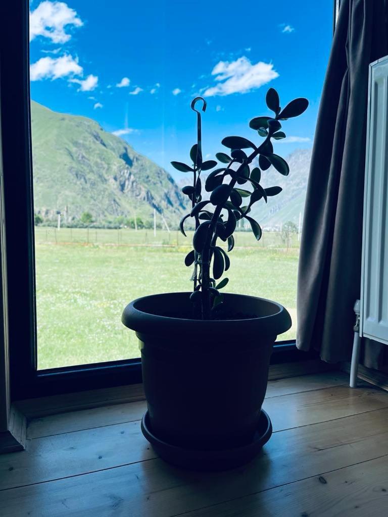 Quiet Cottage, Stepantsminda, Achkhoti Экстерьер фото